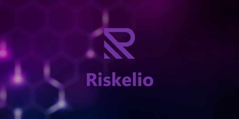 项目截图: Riskelio